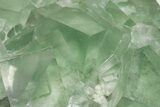 Green Cubic Fluorite Crystals with Phantoms - China #216336-3